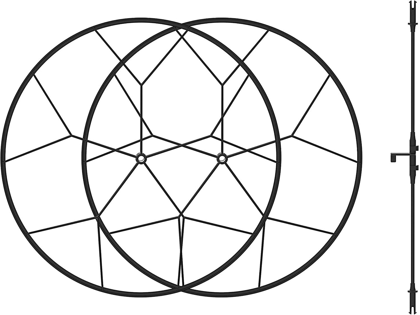 24499647