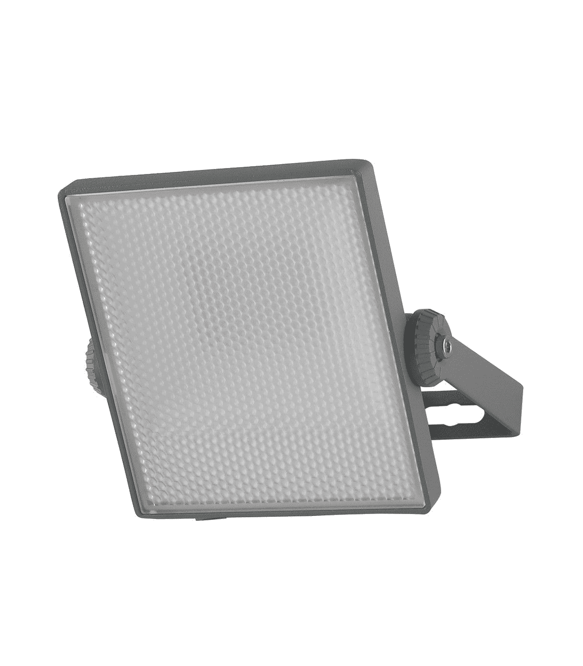 24485904