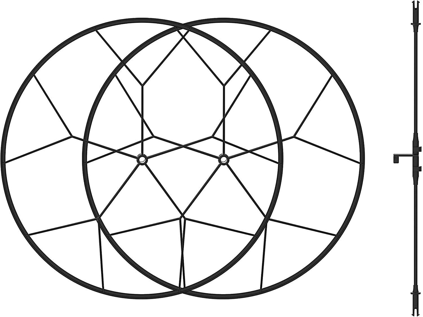 24499646
