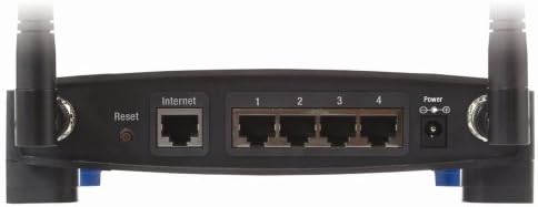 24490016