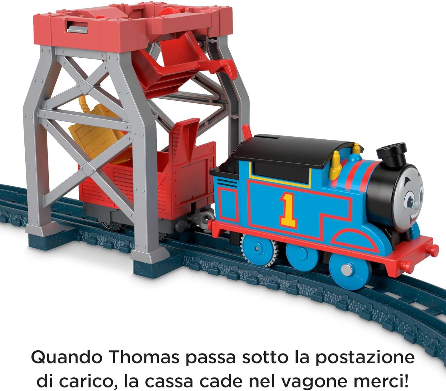 25563306