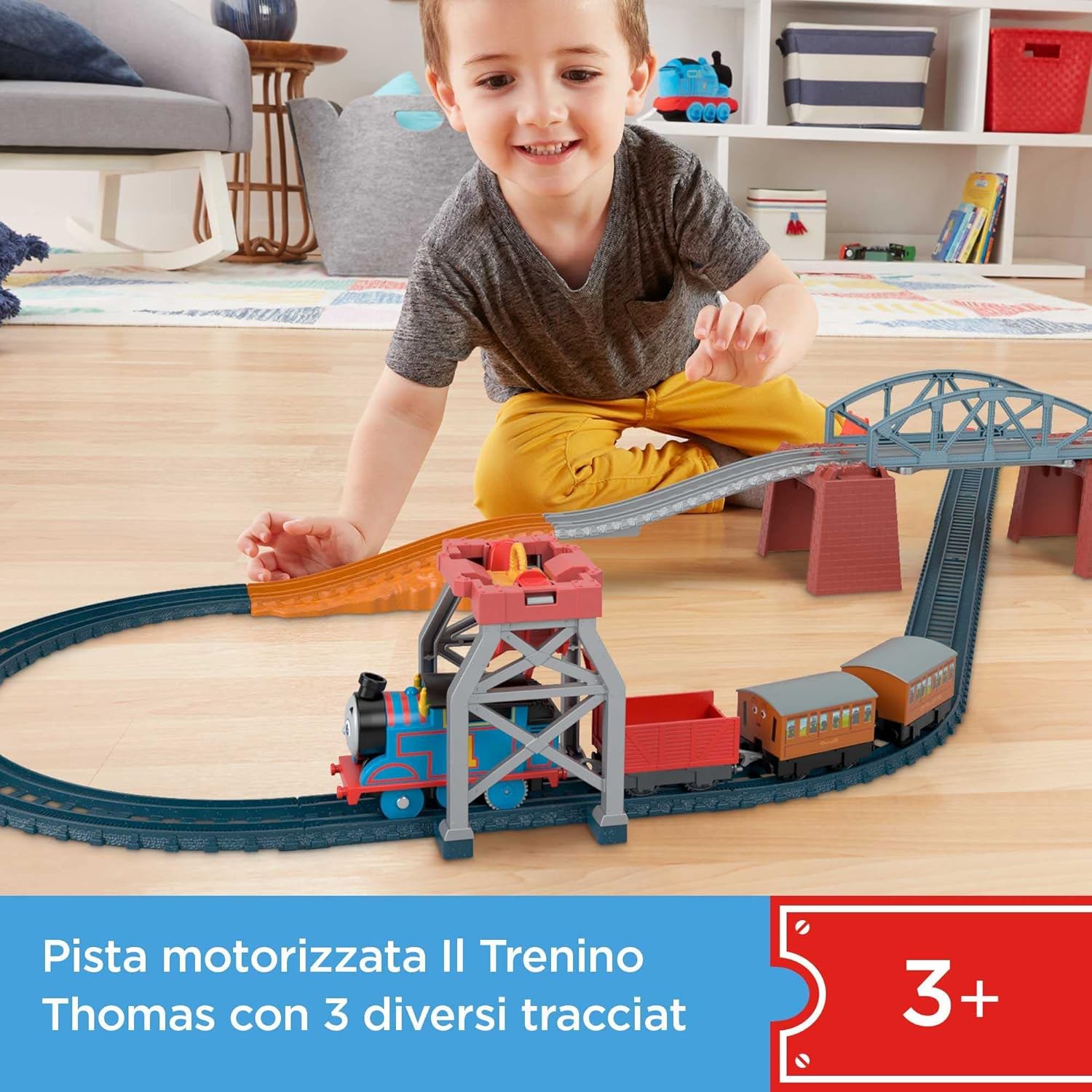 25563304