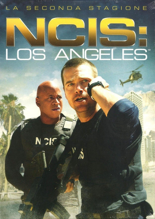 24503105