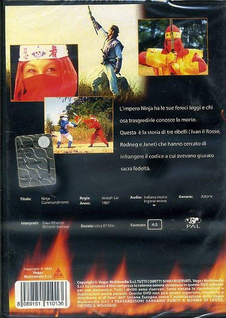 24496905