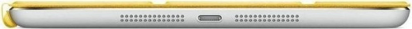 24502853