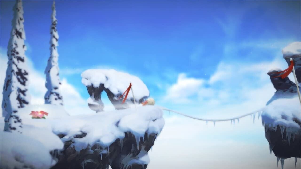 24498576