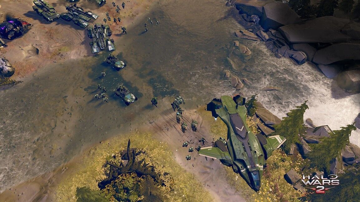 24505423