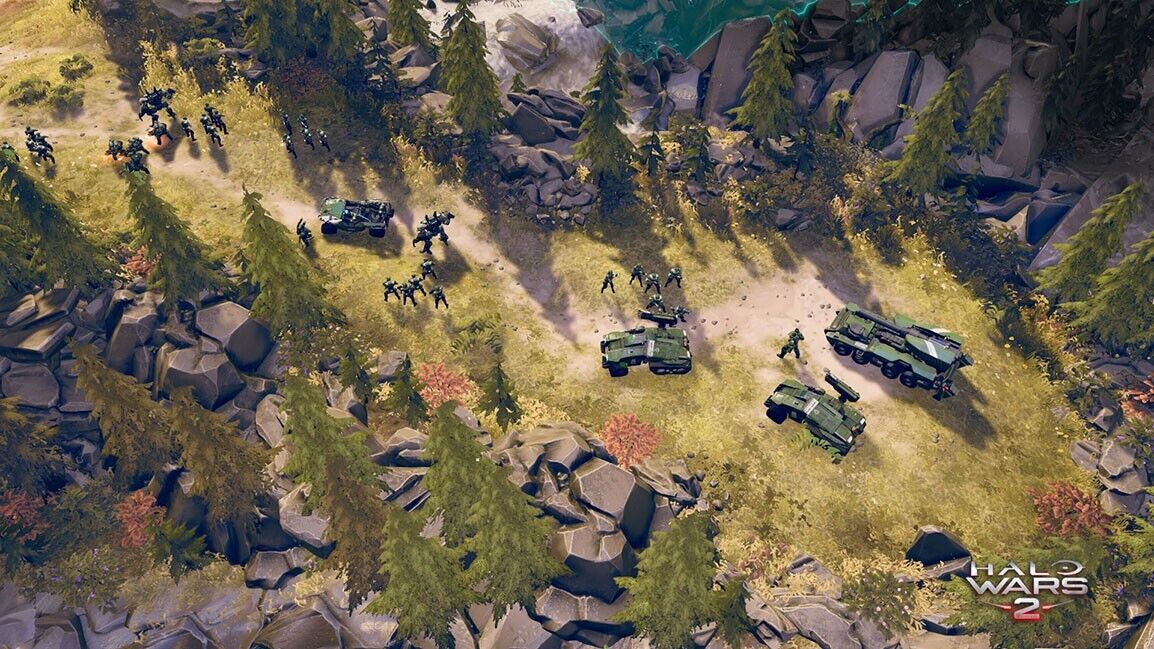 24505436