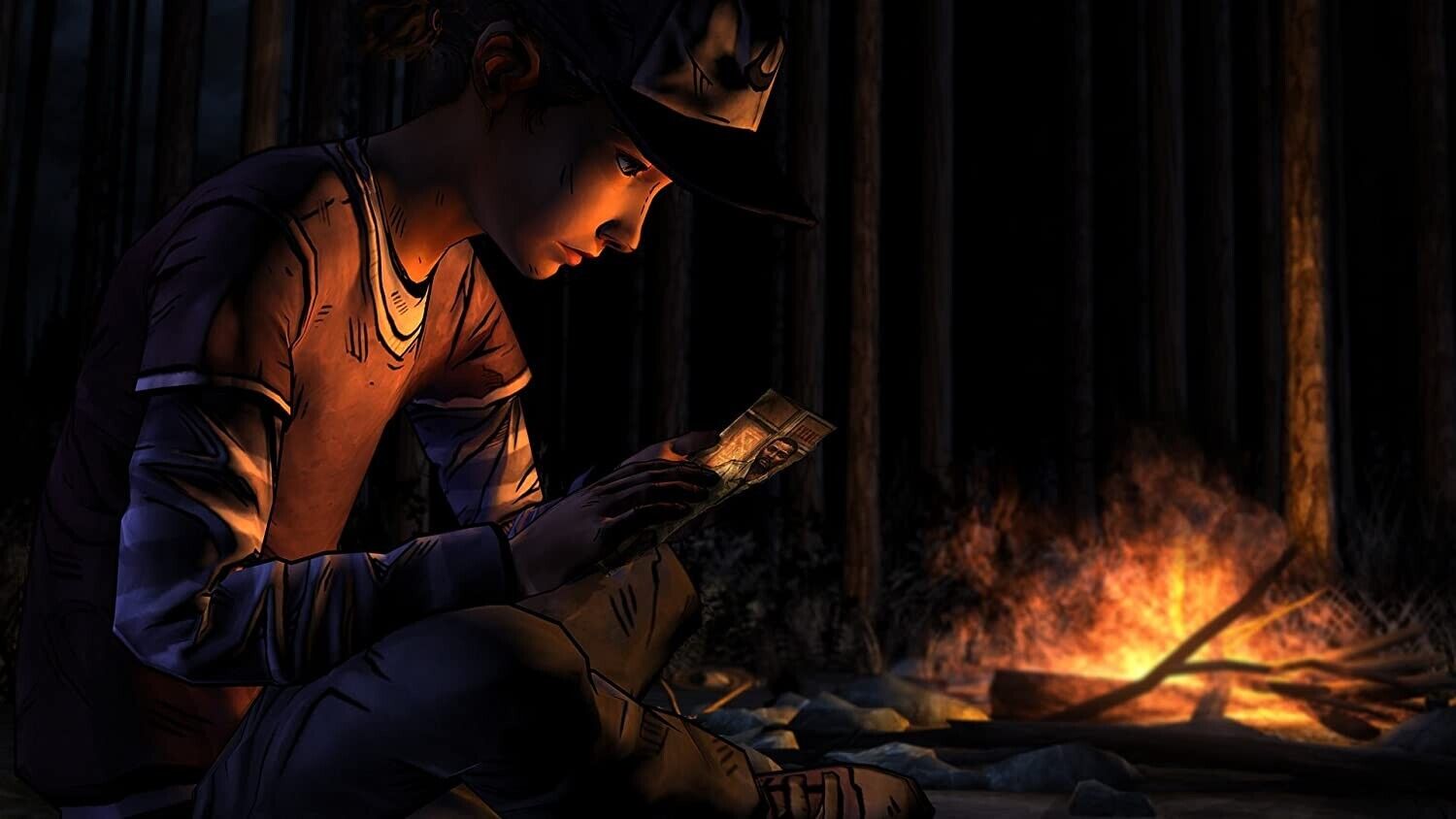 24495563