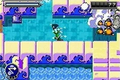 24491048