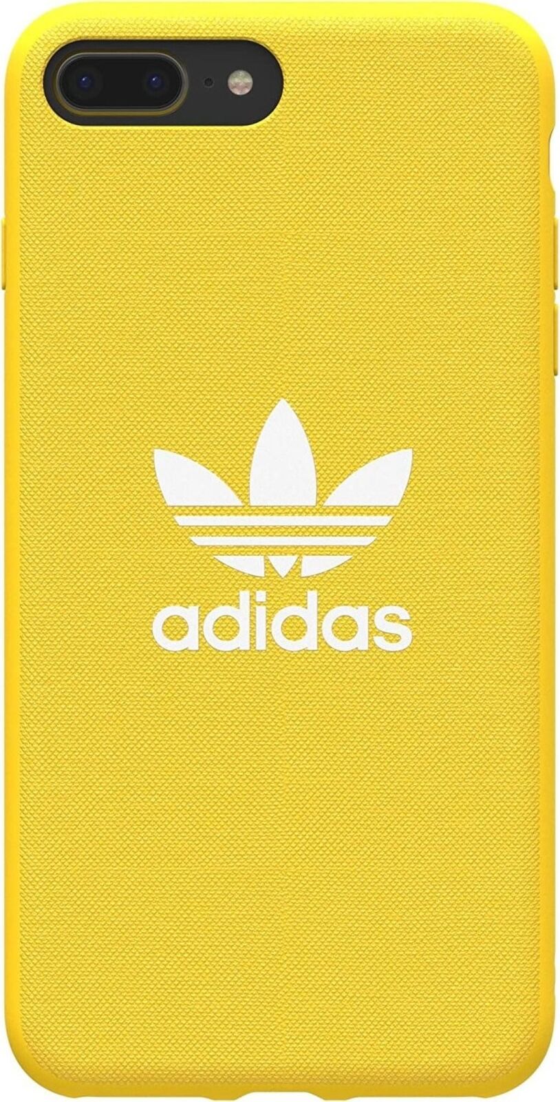 24492049