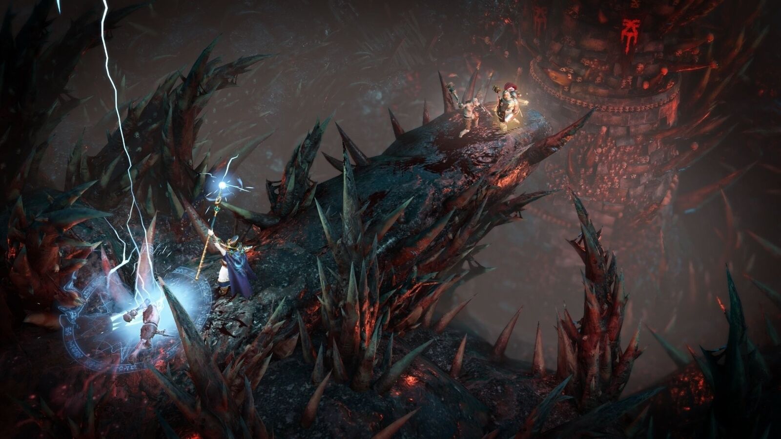 24490591