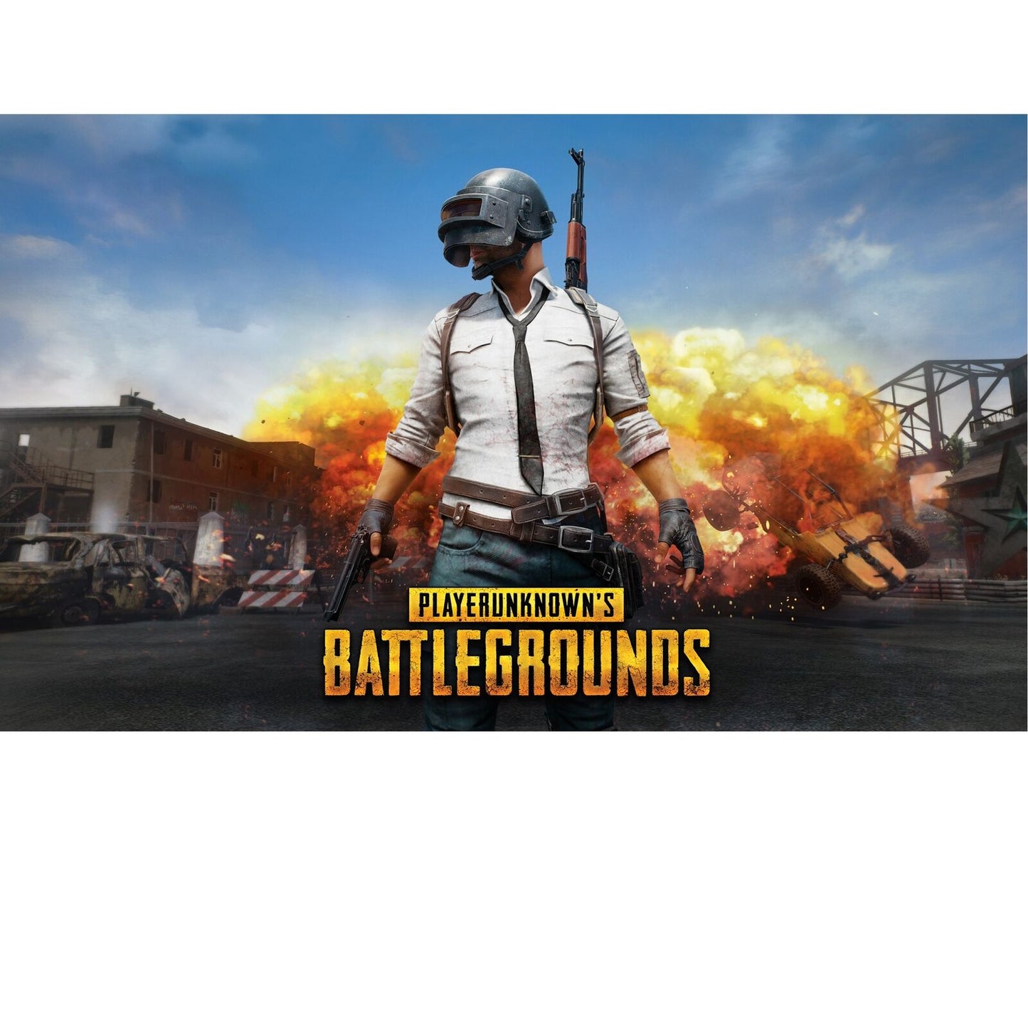 24491155