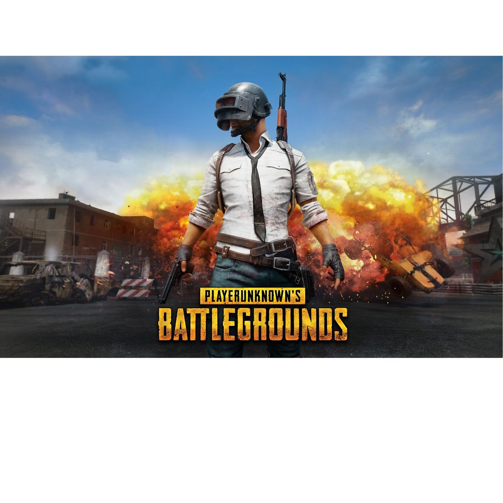 24491155