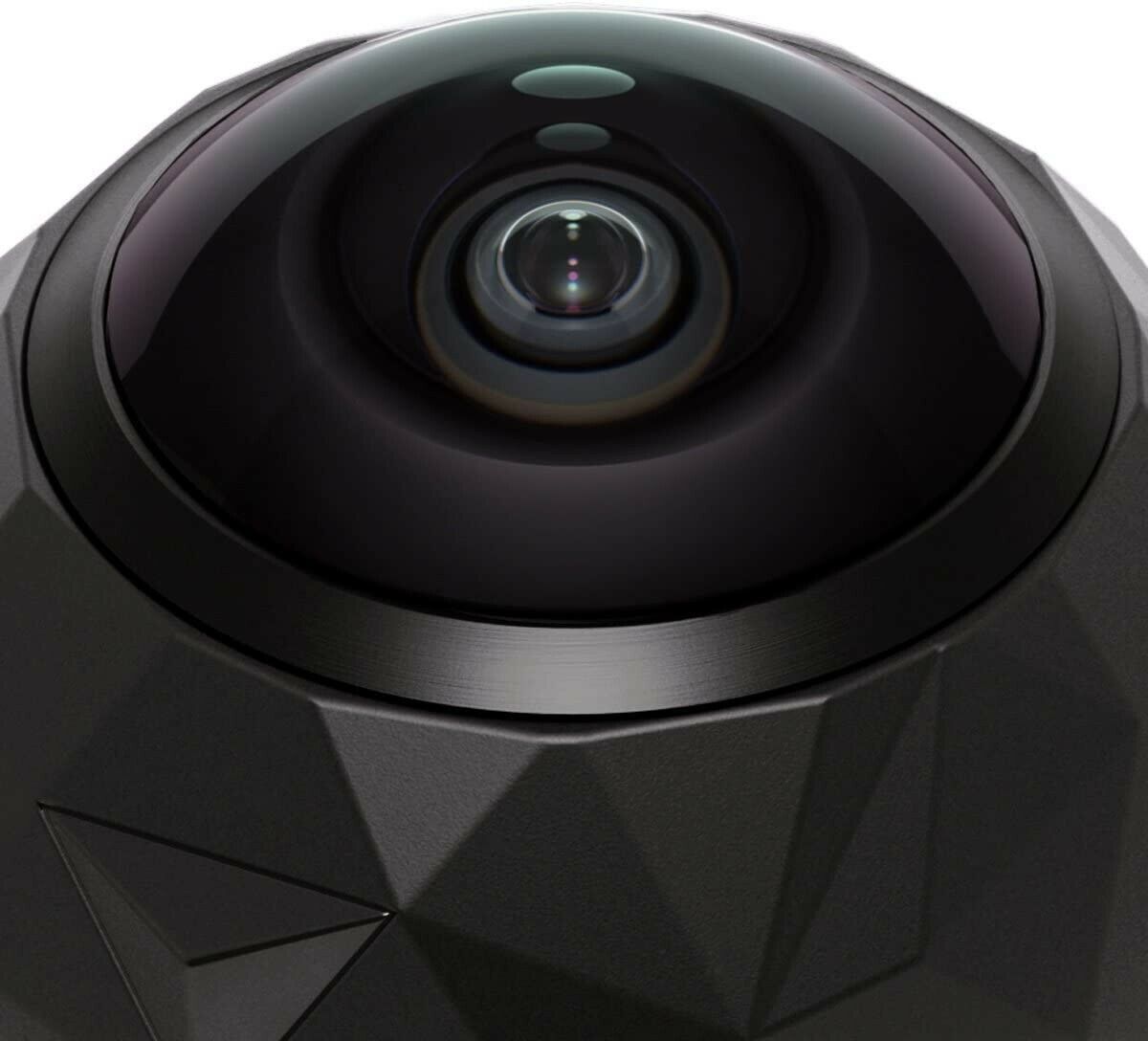 24495373